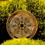 Best ADA Trading Strategies for 2025